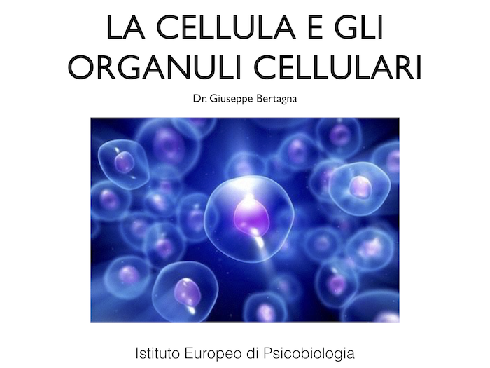 organi cellulari