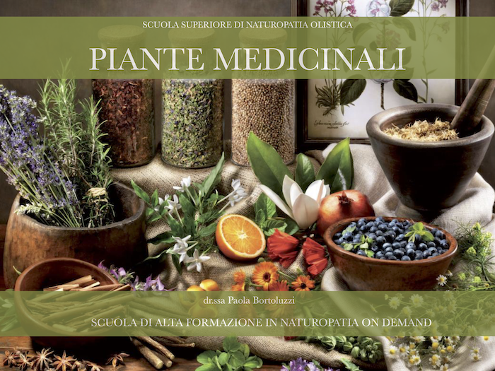 piante medicinali