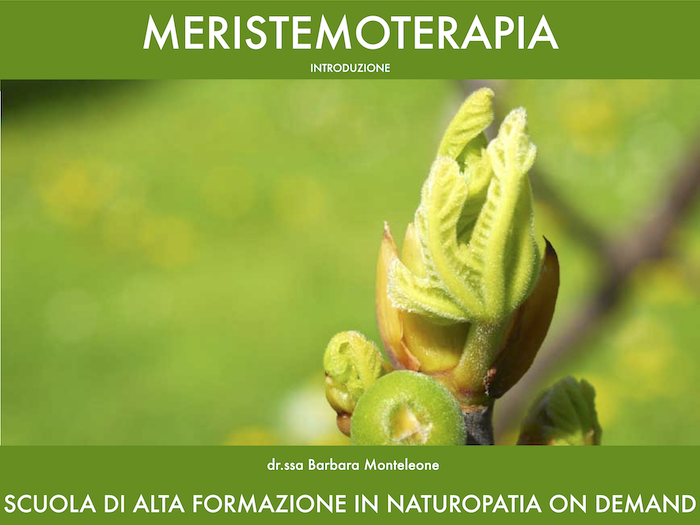 elementi di meristemoterapia