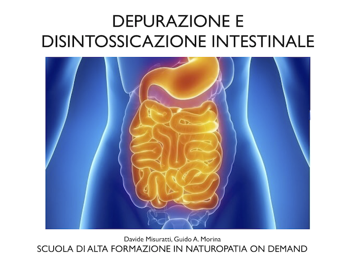 depurazione intestinale