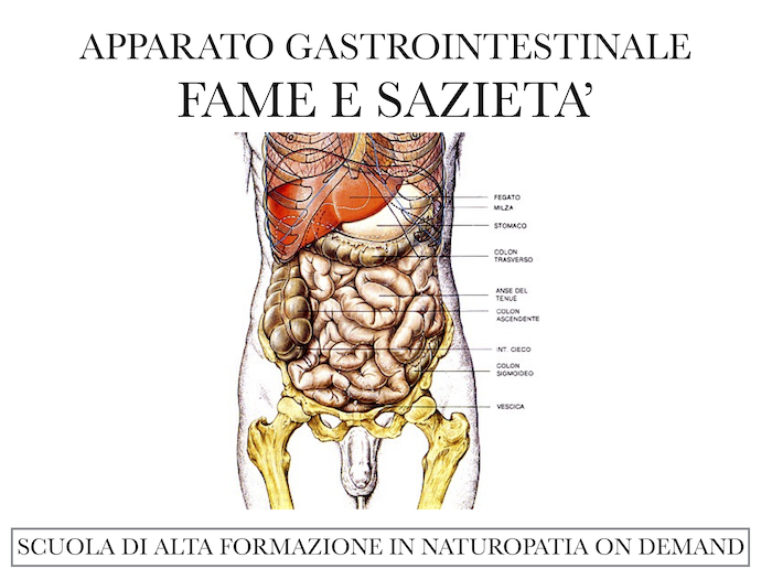 fame e sazietà