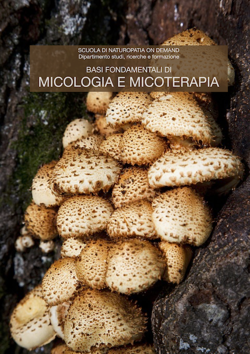 micologia