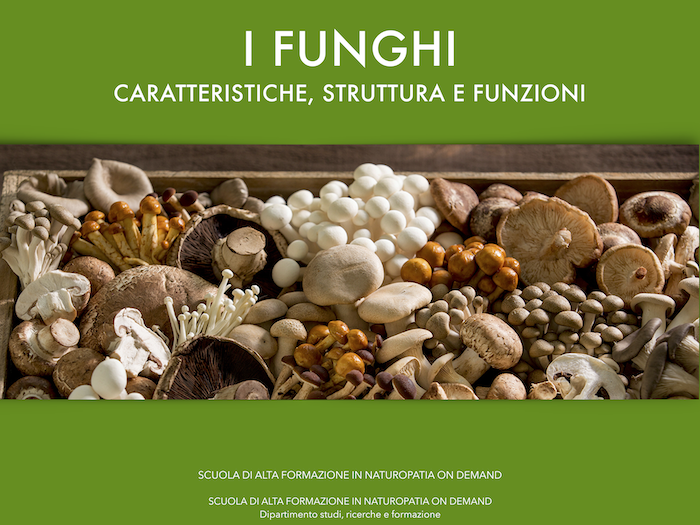 funghi