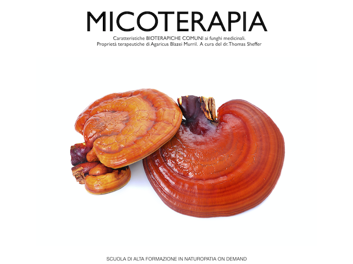 caratteristiche micoterapia