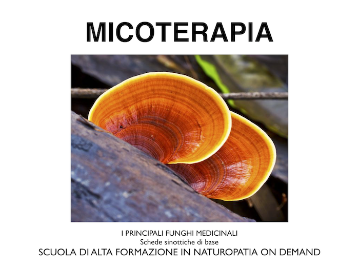 schede micoterapia