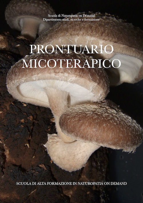 prontuario micoterapico