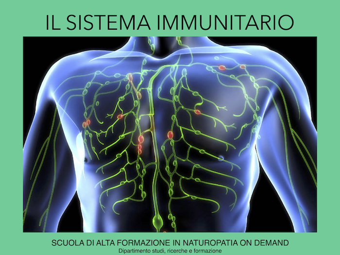 sistema immunitario