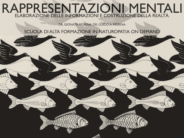 rappresentazioni mentali