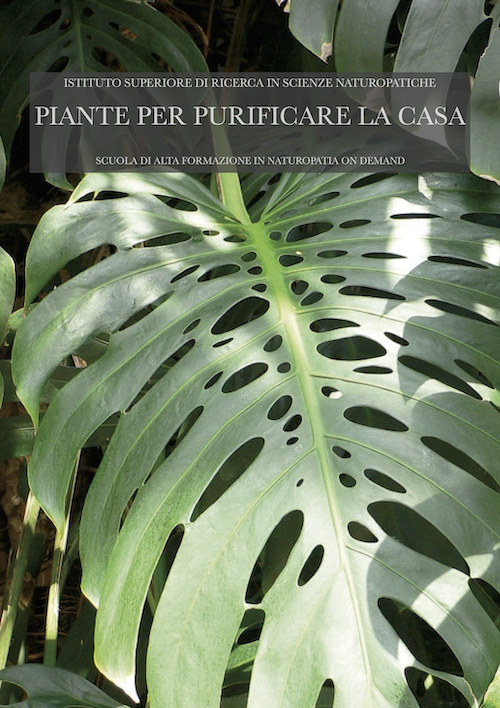 piante purificanti